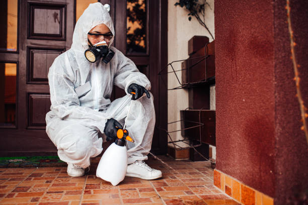 Reliable Bed Bug Control contractor in Jellico, TN by Nex Pest Control