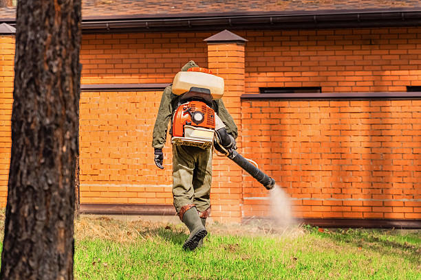 Trusted Bed Bug Control service in Jellico, TN - Nex Pest Control